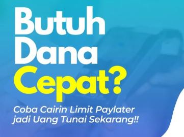 Gestun Limit Shopee PayLater Dengan Hanya 1 Jam Saja
